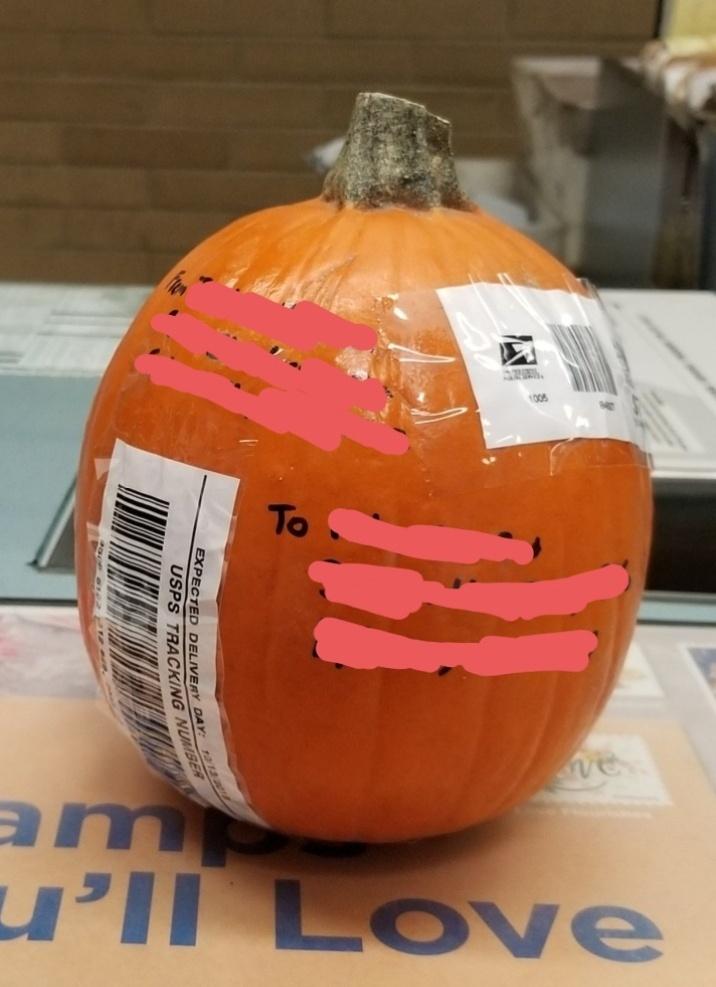 come spedire una zucca