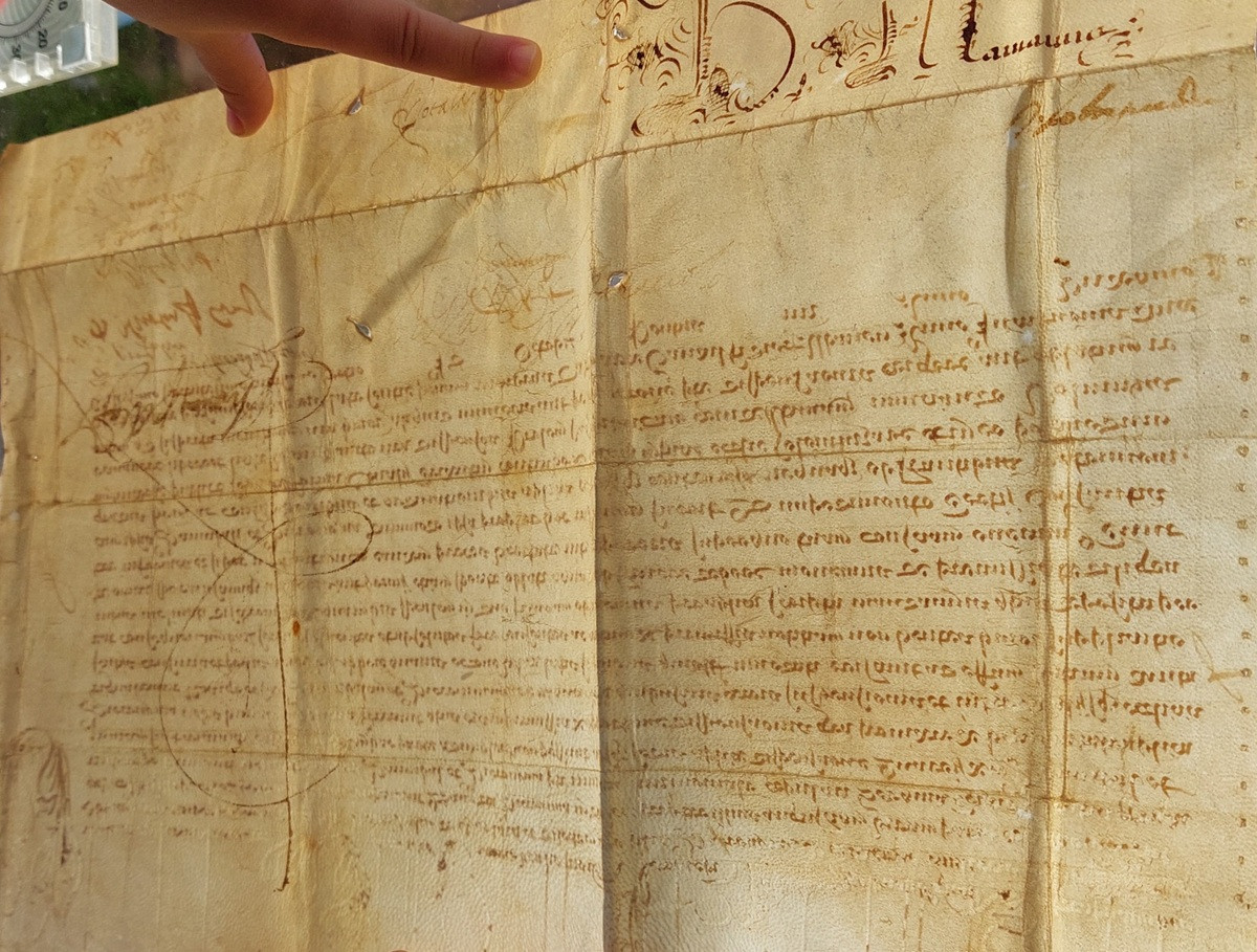 Bolla Apostolica Clemente VIII — intestazione capovolta litterae formatae
