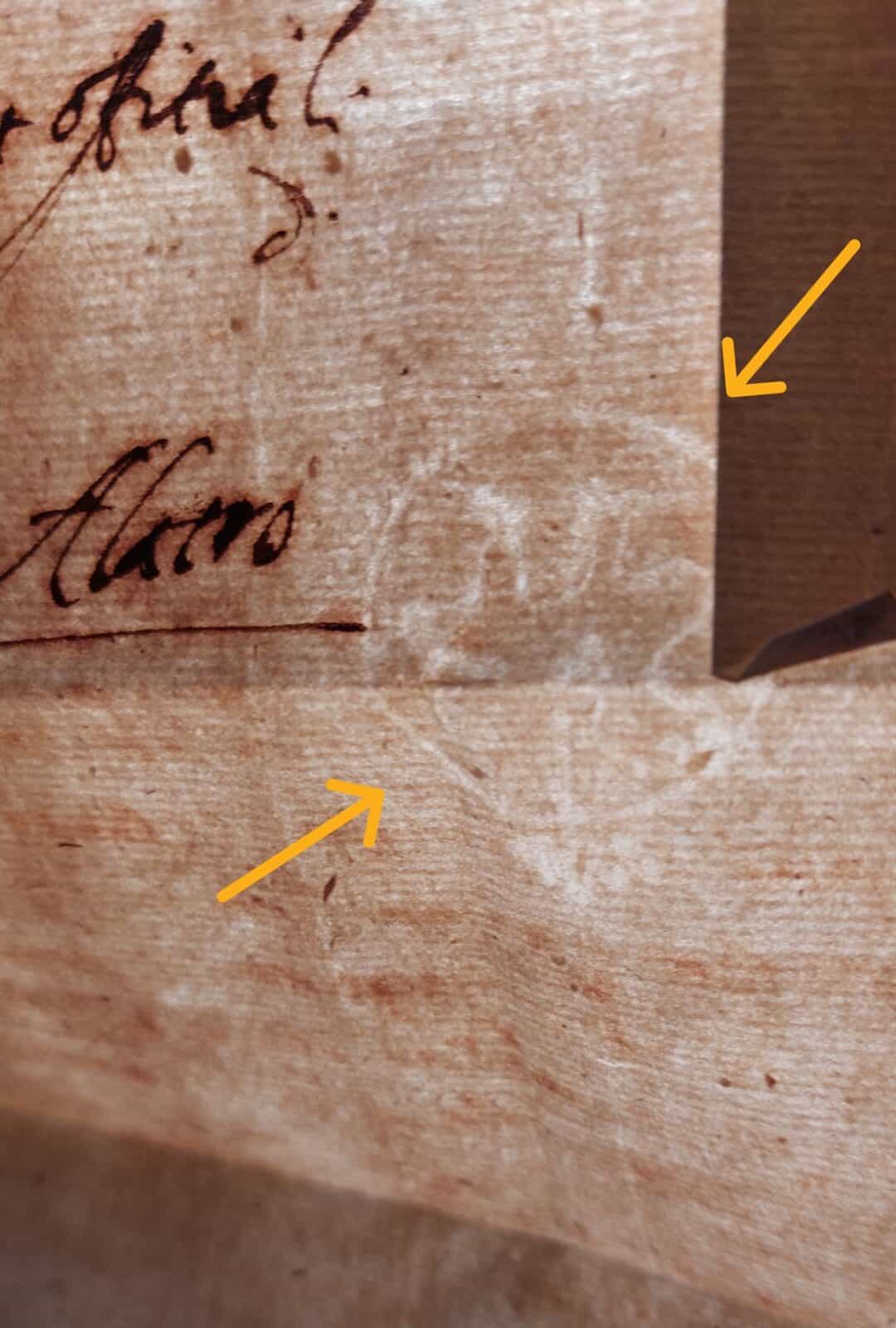 Firma autografa Battista Volta