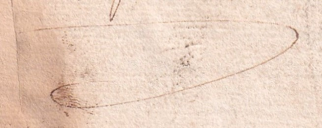 Particolare del segno ovale a secco