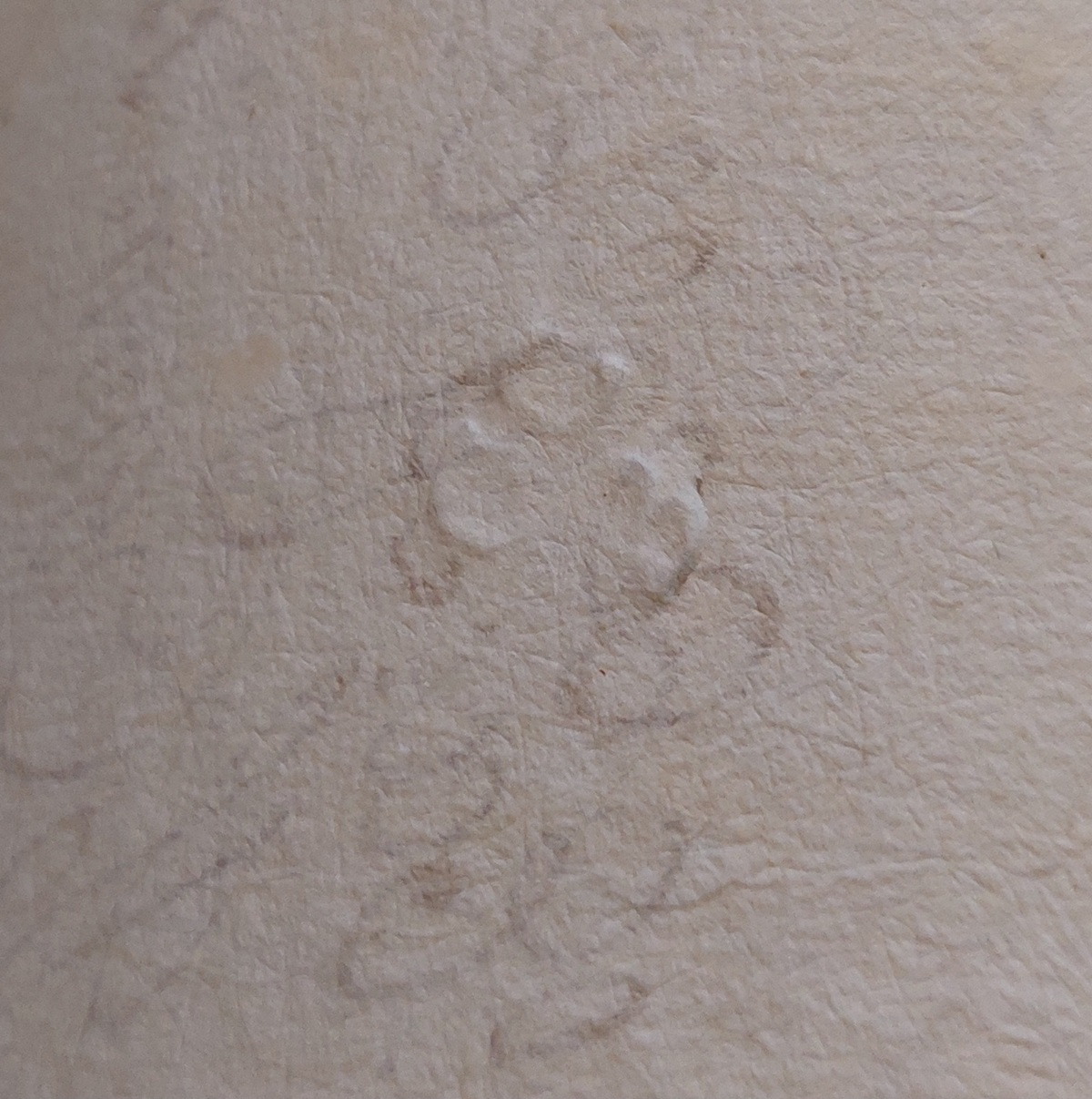 Bollo a secco, particolare